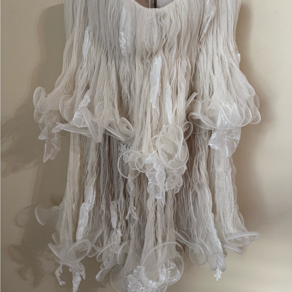 Danielle Frankel New Wendell Tiered Ruffled Lace Tulle Mini Dress Ivory Size 4 - Picture 5 of 11